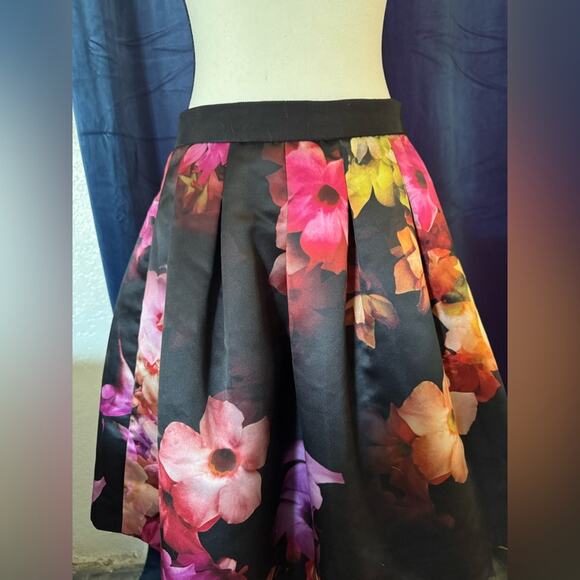 Ted Baker London Floral Full Skirt with Petticoat ~ Size 6 - Picture 6 of 11
